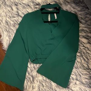Zara Crop Long Sleeve Blouse